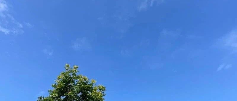 Featured image of post 这一类人，微信通讯录不超过200人