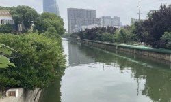 Featured image of post 对于舒适区的新理解