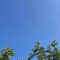 七年