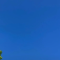 做对的事情，比把事情做对重要一百倍