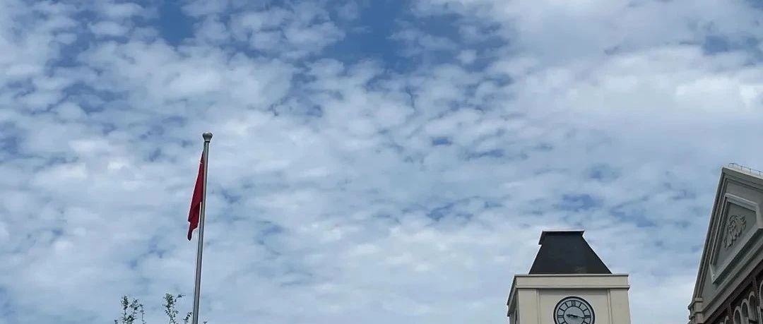 Featured image of post 萝卜快跑是挡不住的