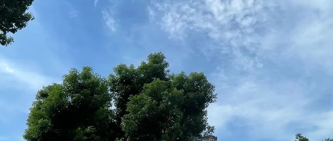 Featured image of post Windows 大面积蓝屏事件的感想