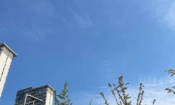 Featured image of post 很多项目可能过度管理了