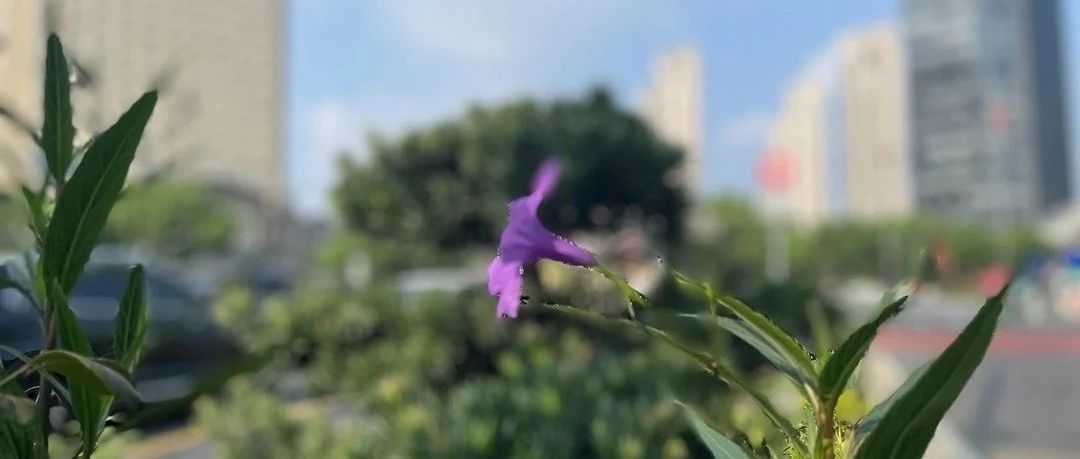 Featured image of post 选择哪个城市，逻辑变了