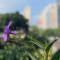 选择哪个城市，逻辑变了