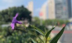 Featured image of post 选择哪个城市，逻辑变了
