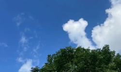 Featured image of post 管好自己最宝贵的资源