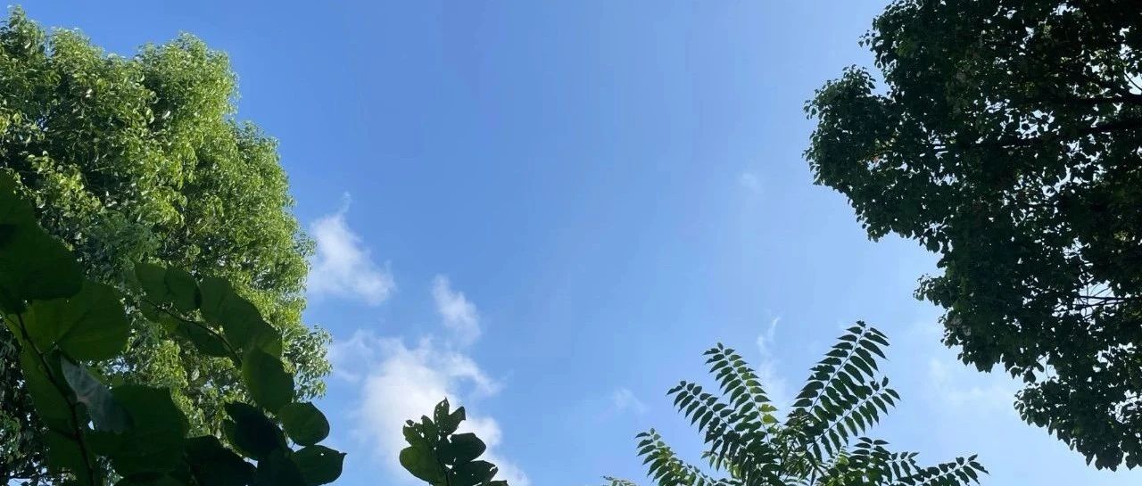 Featured image of post 我看Notion将删除俄罗斯用户数据