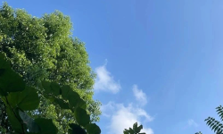 Featured image of post 我看Notion将删除俄罗斯用户数据