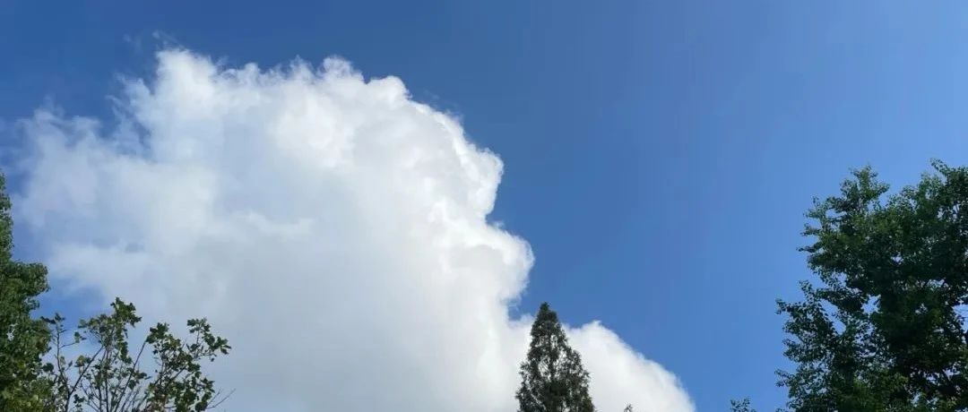 Featured image of post 苹果和微信二选一？