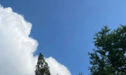 Featured image of post 苹果和微信二选一？