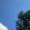 苹果和微信二选一？