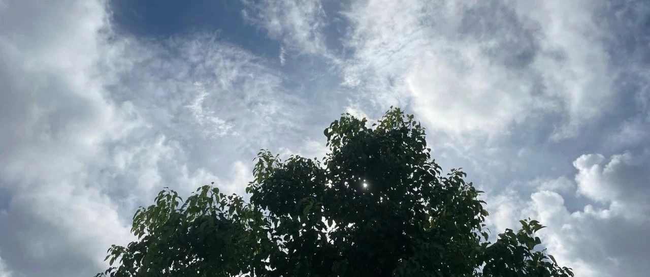 Featured image of post 知识付费正在降级，副业路在何方