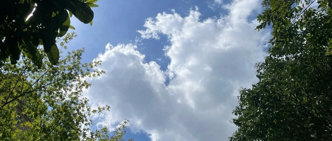 Featured image of post 世界是个巨大的草台班子，那么个人该怎么办