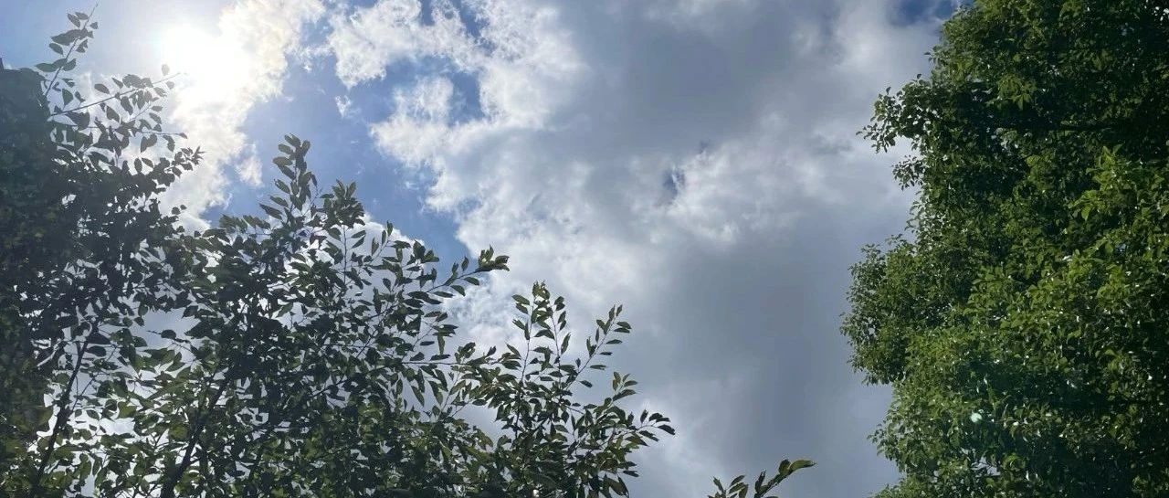 Featured image of post 第二职业这件事，急不得