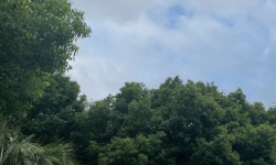 Featured image of post 是管理者的问题，还是员工的问题？