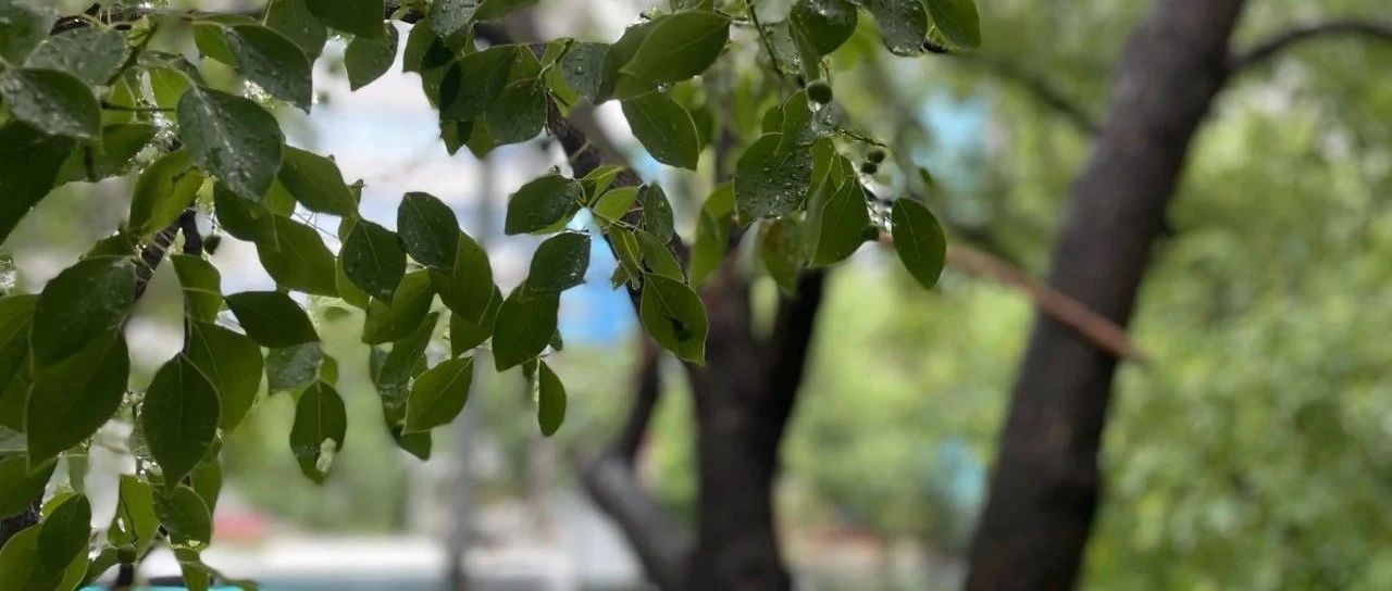 Featured image of post 节后复工，如何顺利不掉档