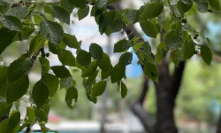 Featured image of post 节后复工，如何顺利不掉档