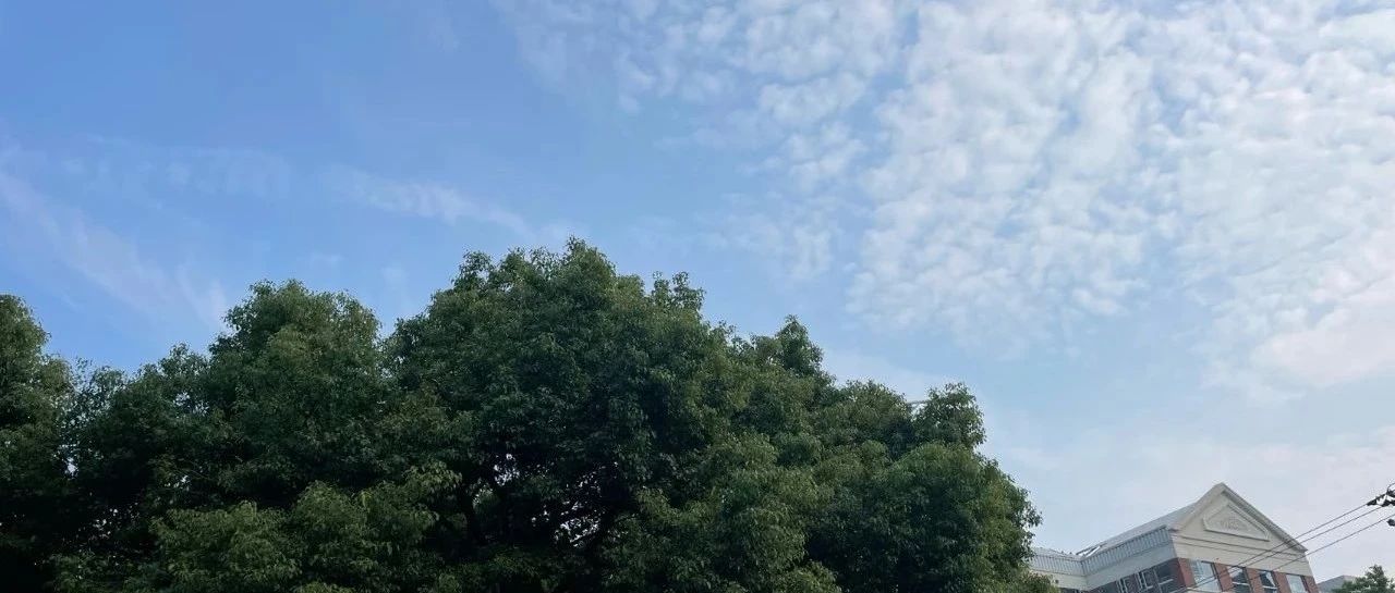 Featured image of post 投资系统的核心