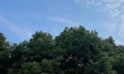 Featured image of post 投资系统的核心