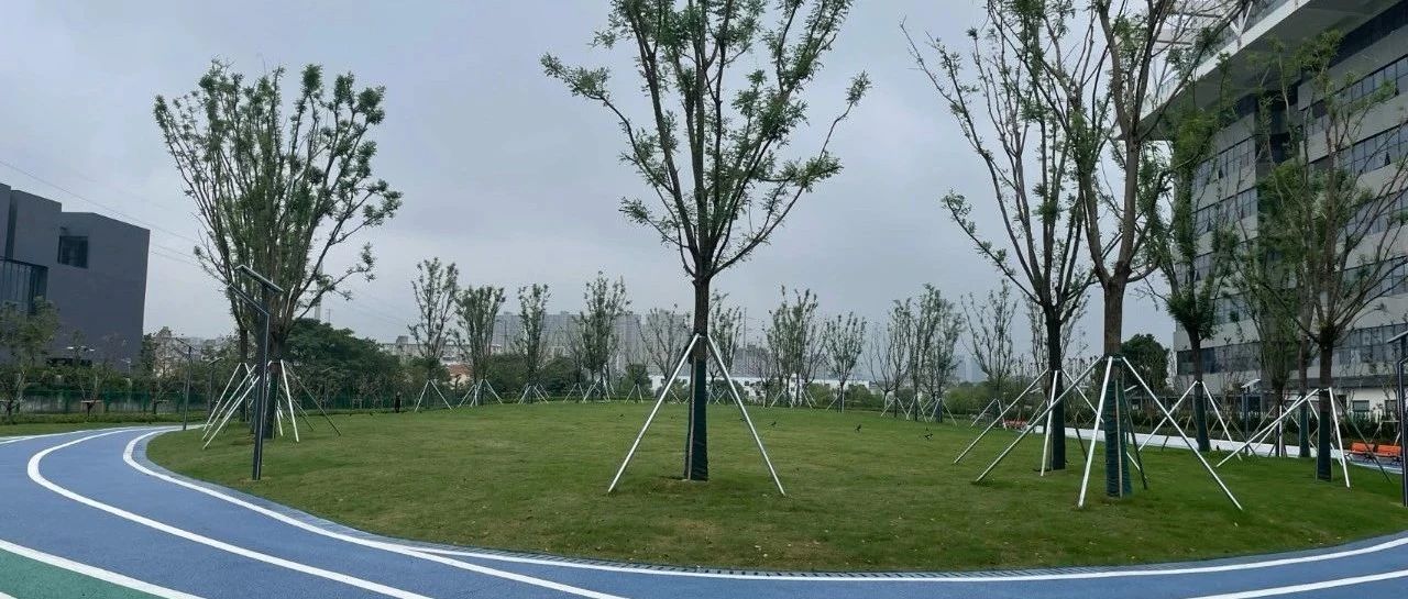 Featured image of post 长期写作遭遇挑战怎么破