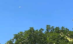 Featured image of post Notion 构建的人生系统也有缺陷