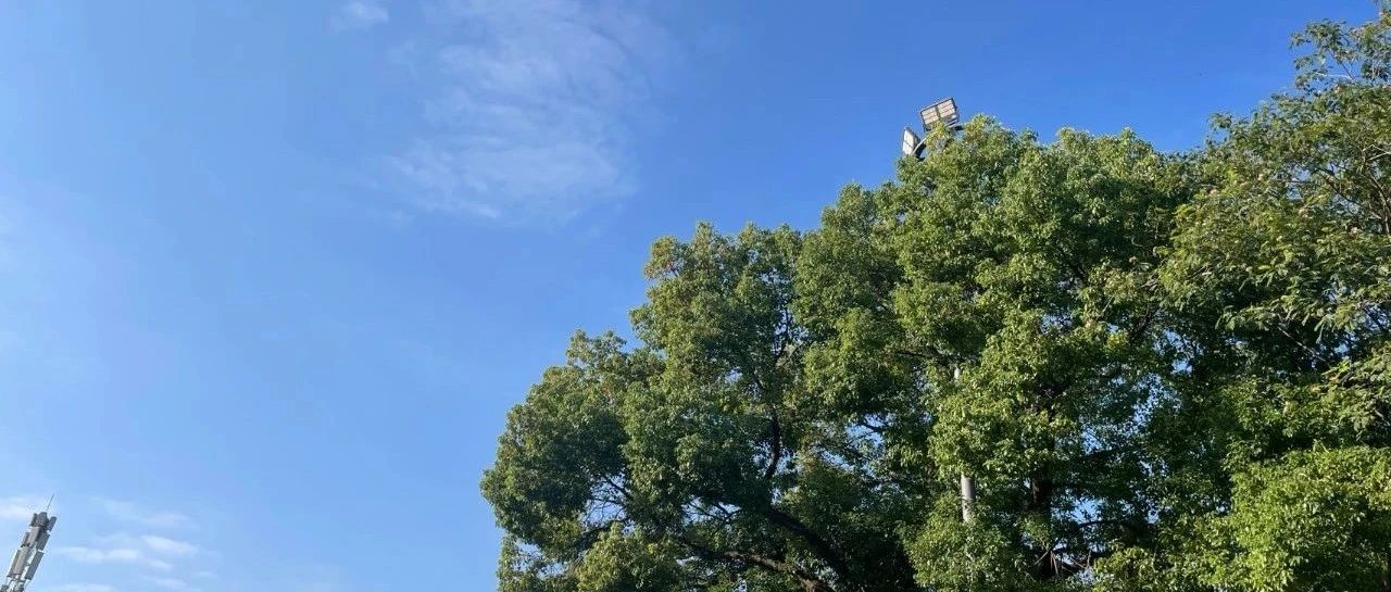 Featured image of post 人生管理系统的小技巧