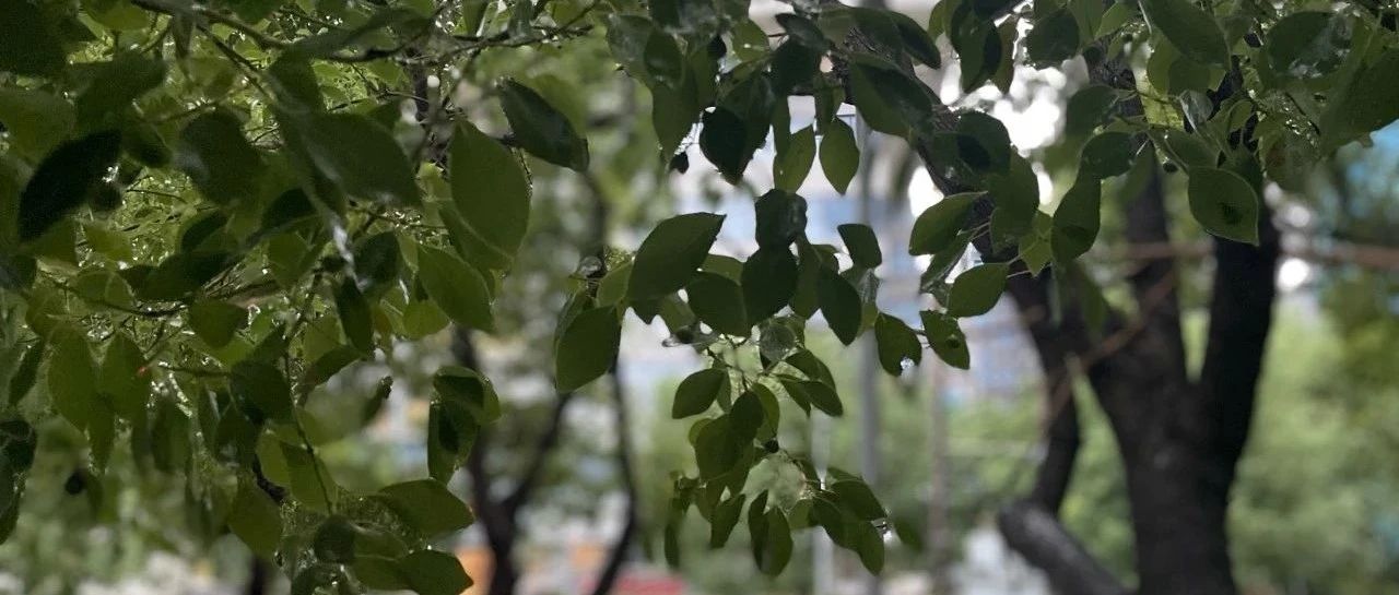 Featured image of post 刻意避开线上服务