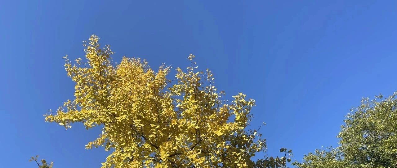 Featured image of post 珍惜下班后的时间