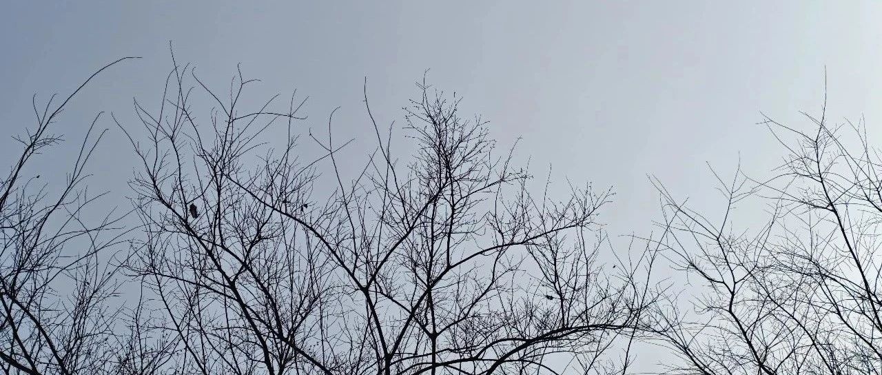 Featured image of post 网络书房