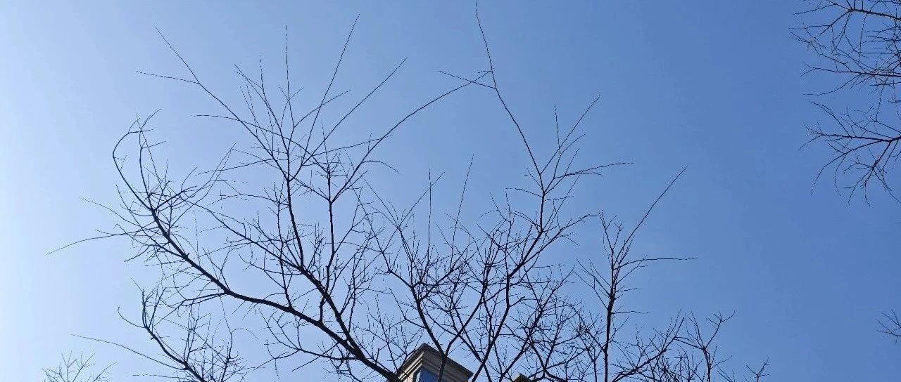 Featured image of post 春节回乡基本礼仪