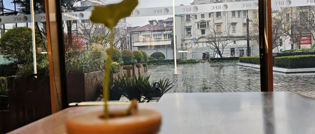 Featured image of post Deepseek已经这么强了，我们还有必要写作吗