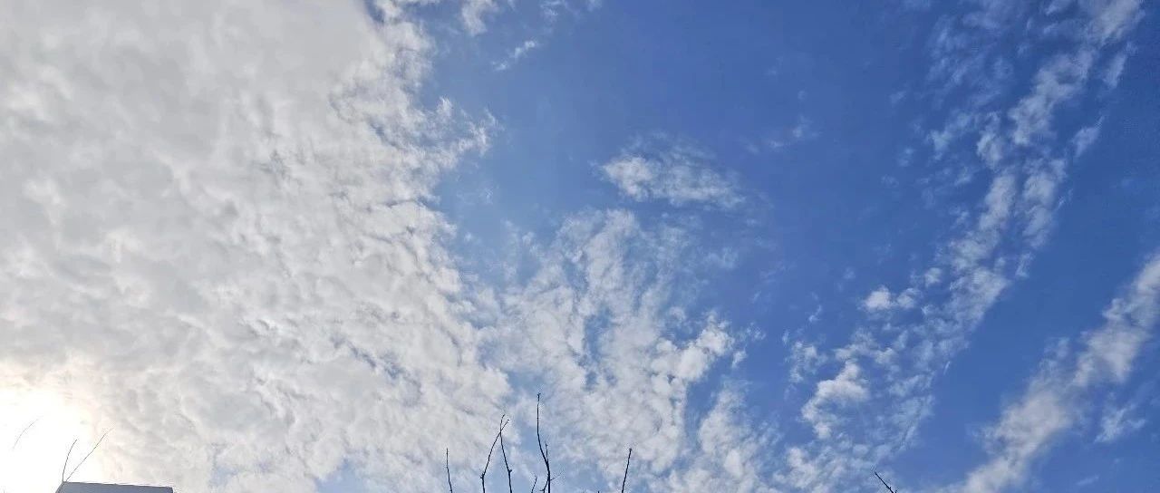 Featured image of post 现在，从零开始构建一套人生系统