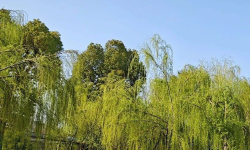 Featured image of post 生活中的大部分问题都是「懒」造成的