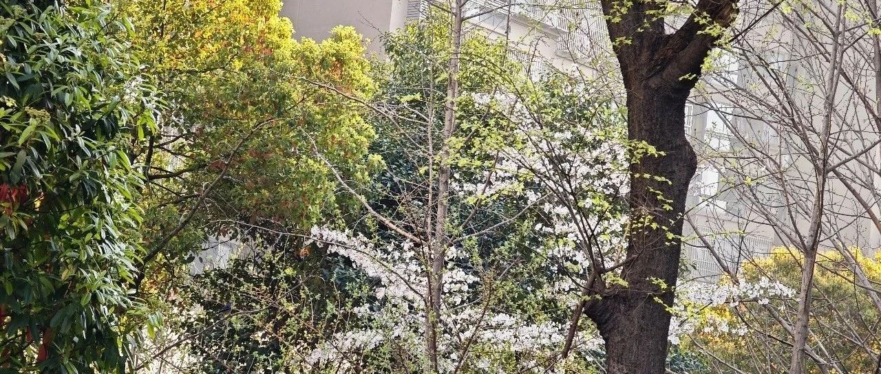 Featured image of post 投资是个非常私人的事情