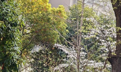 Featured image of post 投资是个非常私人的事情