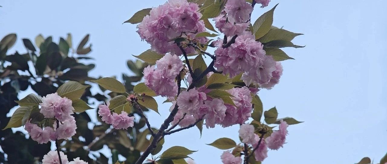 Featured image of post 最大的风险