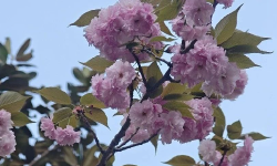 Featured image of post 最大的风险