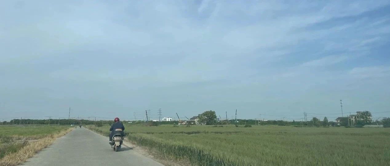 Featured image of post 我看公众号最近的频繁更新