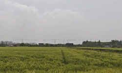 Featured image of post 公众号成长足迹