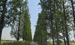 Featured image of post 执行早起计划