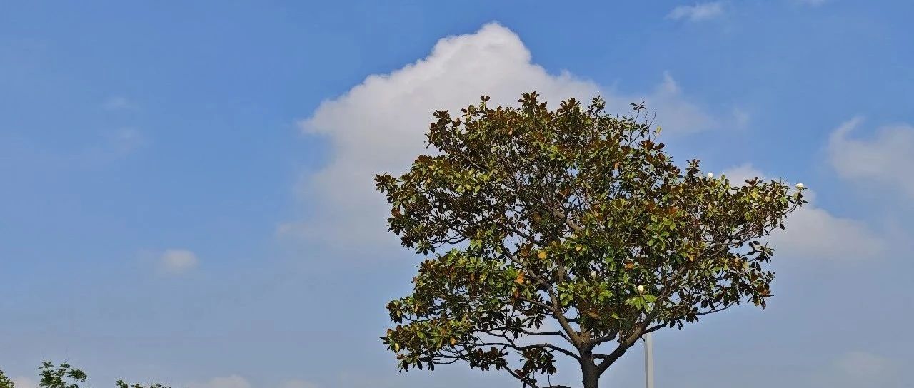 Featured image of post 一个人是怎么废掉的