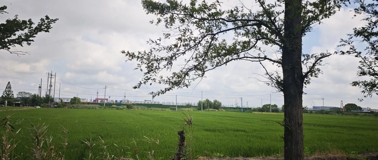 Featured image of post 现代职场应该选什么类型的职业