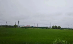 Featured image of post 麦田的能量场