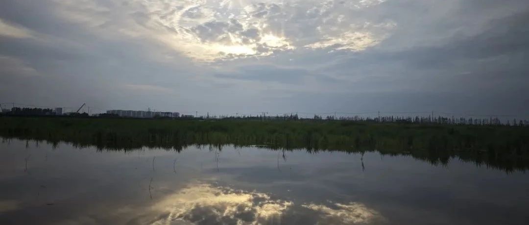 Featured image of post 人不可能一辈子上班