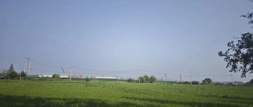 Featured image of post 在互联网上写文字内容，注定是不受欢迎的