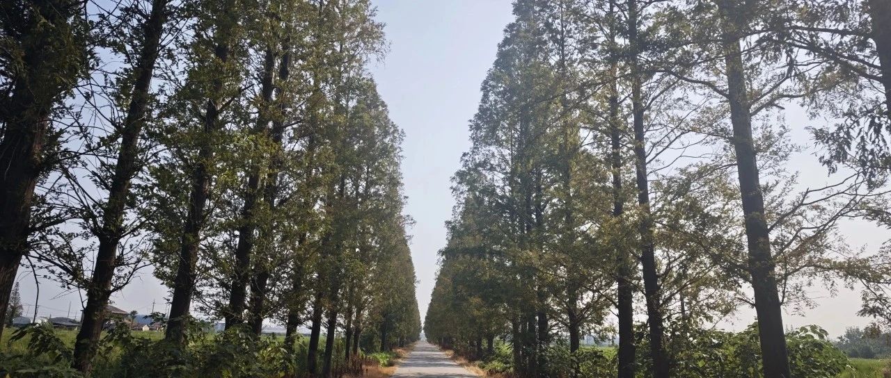 Featured image of post 大部分人对投资其实不感冒