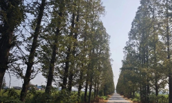 Featured image of post 大部分人对投资其实不感冒