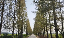 Featured image of post 不要低估专业的力量