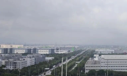 Featured image of post 只要坚持去做，其他交给时间，是不是骗人的？
